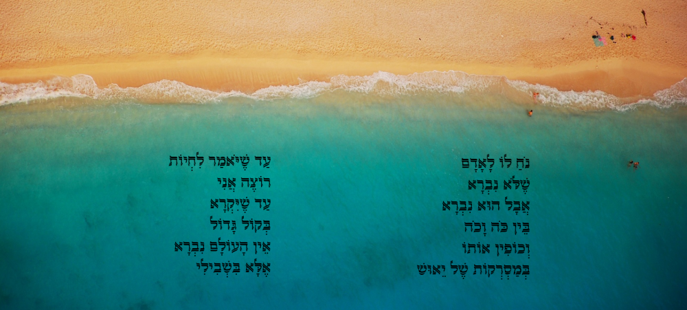 מילותקישור